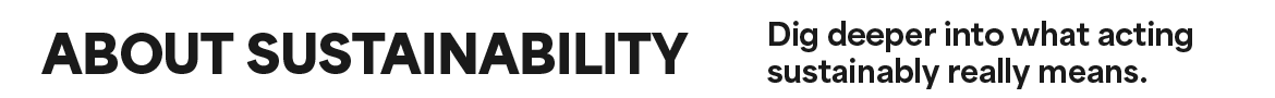 About Sustainability Title
