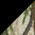 Black/ Realtree Xtra